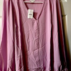 Brand New J. Crew Pale Pink Chiffon Long Sleeve Shirt, size Medium
